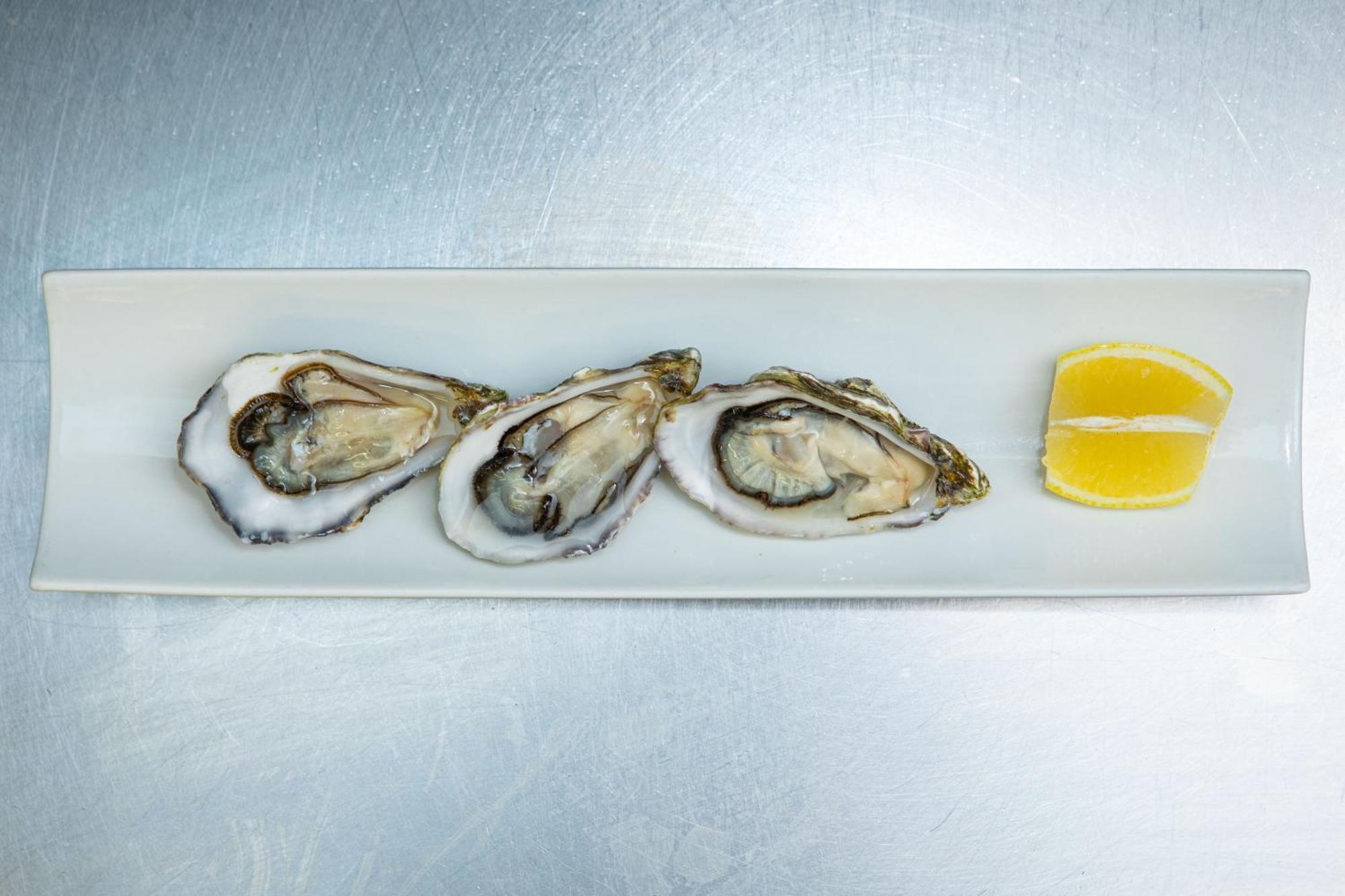Ashes Seafood Restaurant Accommodation Дингъл Екстериор снимка