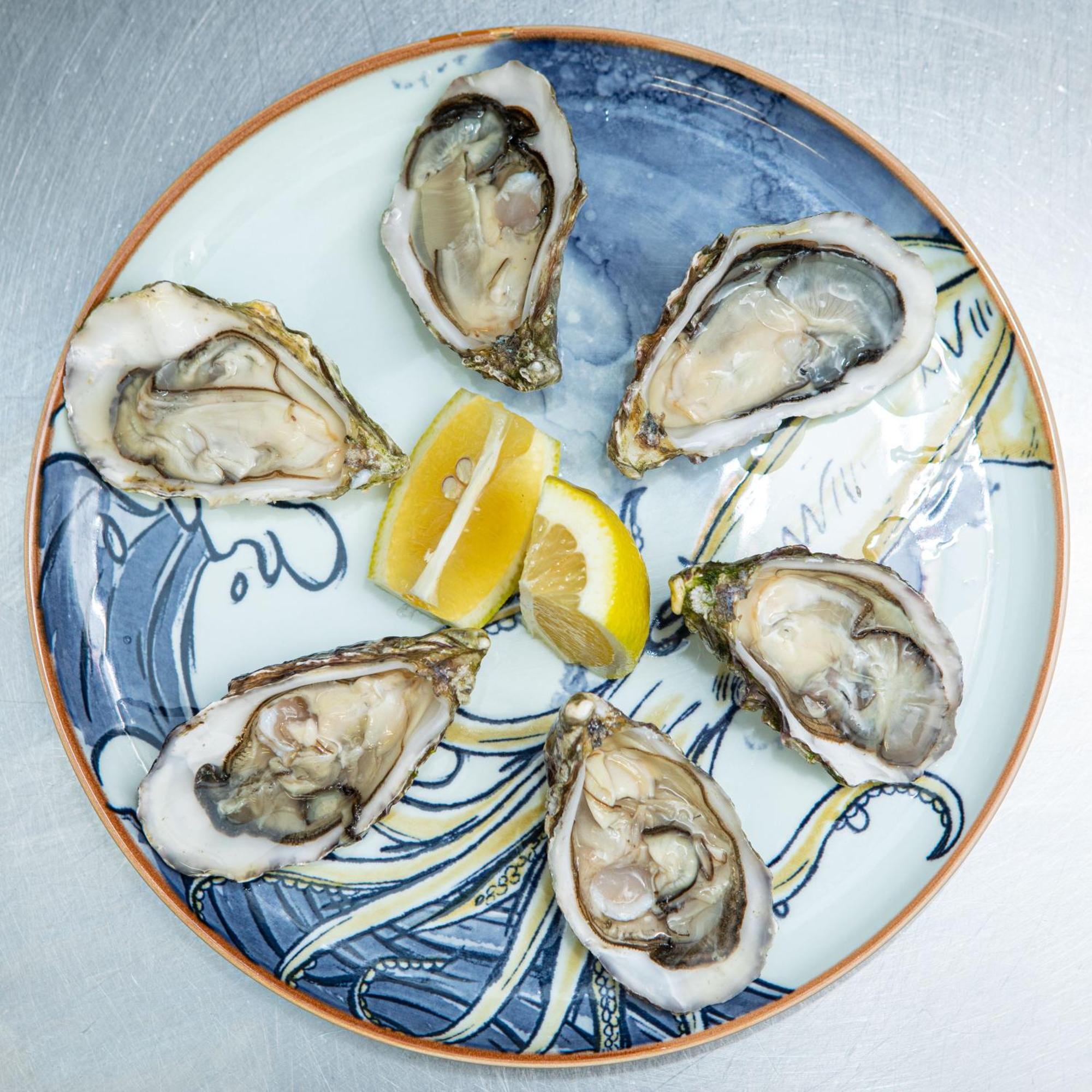Ashes Seafood Restaurant Accommodation Дингъл Екстериор снимка